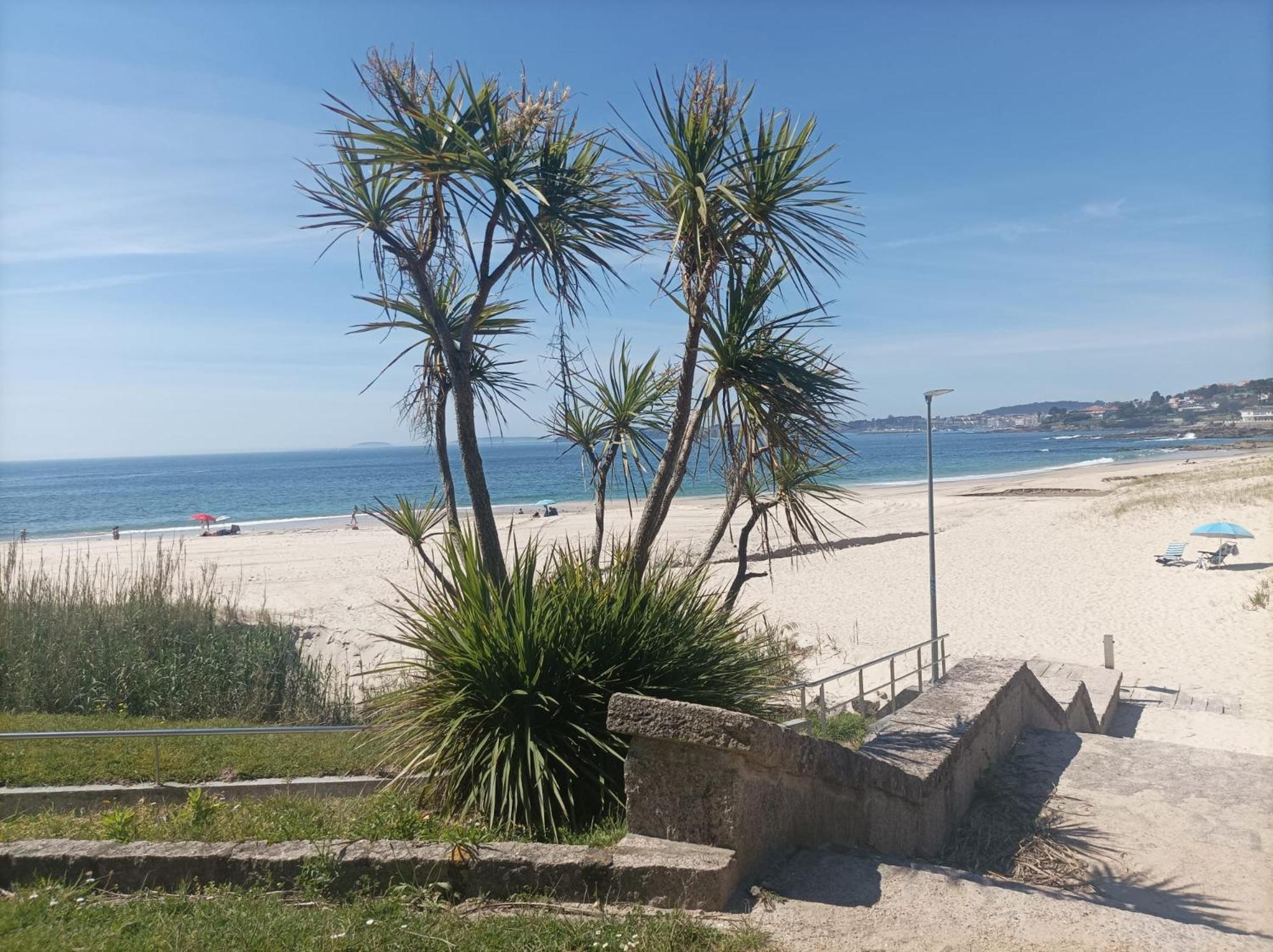 Playa Areas Leilighet Eksteriør bilde